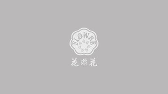平面設(shè)計(jì)的視覺(jué)語(yǔ)言 從核心圖形到樣機(jī)展示的魅力呈現(xiàn)
