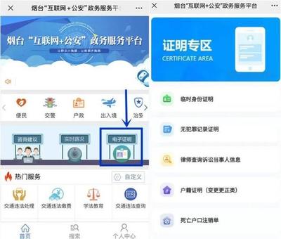 臨時身份證明電子政務認證服務 數字化賦能與便民新體驗
